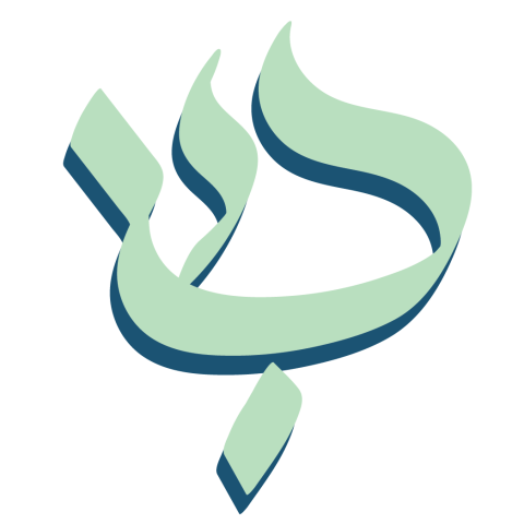 שירן זאדה דביר